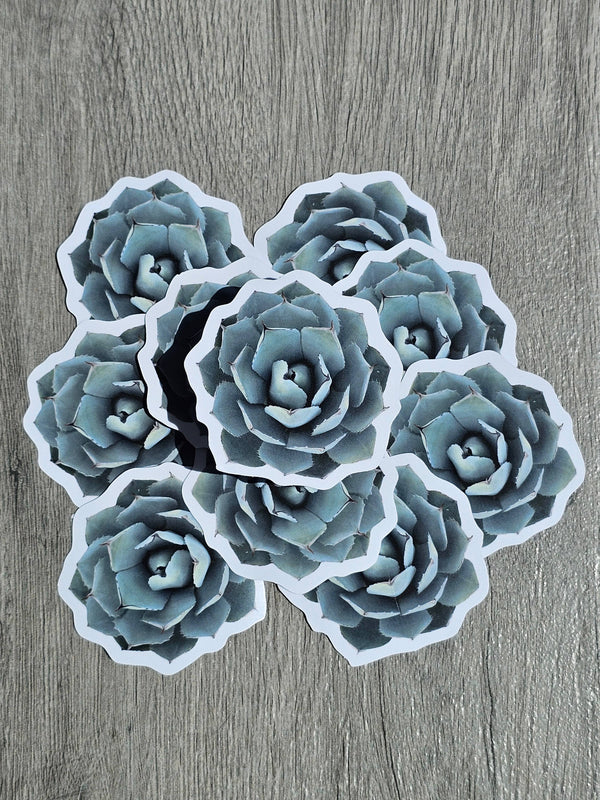 Agave Sticker