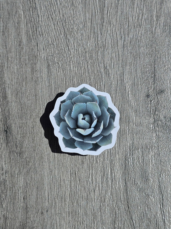 Agave Sticker