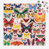 Brilliant Butterflies  - 500 Piece Puzzle