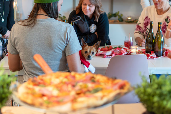 Lady & the Tramp Valentine's Pop-Up