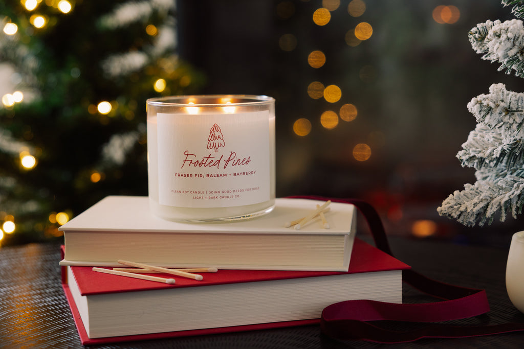 White Pumpkin Two-Wick Candle | Harvest Pumpkin, Maple + Sugar