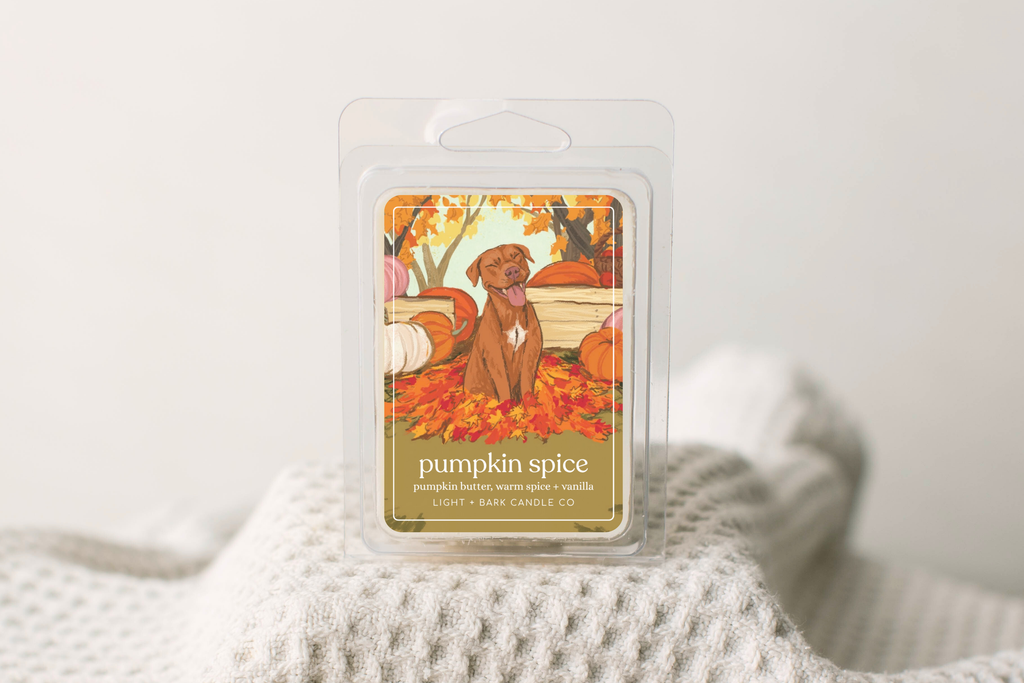 Pumpkin Spice Soy Wax Melts