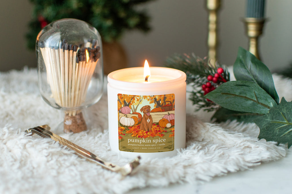Pumpkin Spice Soy Candle | Pumpkin Butter, Warm Spice + Vanilla