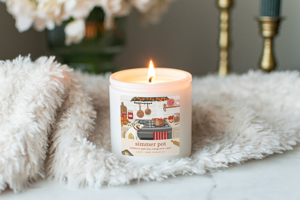 Simmer Pot Soy Candle | Cranberry Apple Jam, Orange Peel + Spice