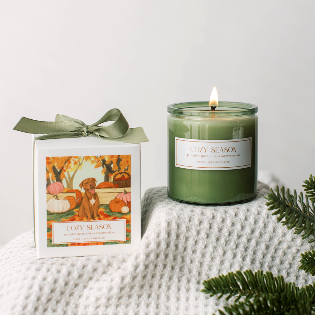 NEW Cozy Season Scented Soy Candle