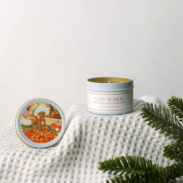 NEW Cozy Season Tin Candle