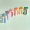 Pastel Flower Vessel with Colorful Matchsticks: Pink