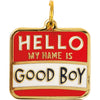 Hello My Name Is Good Boy Collar Charm