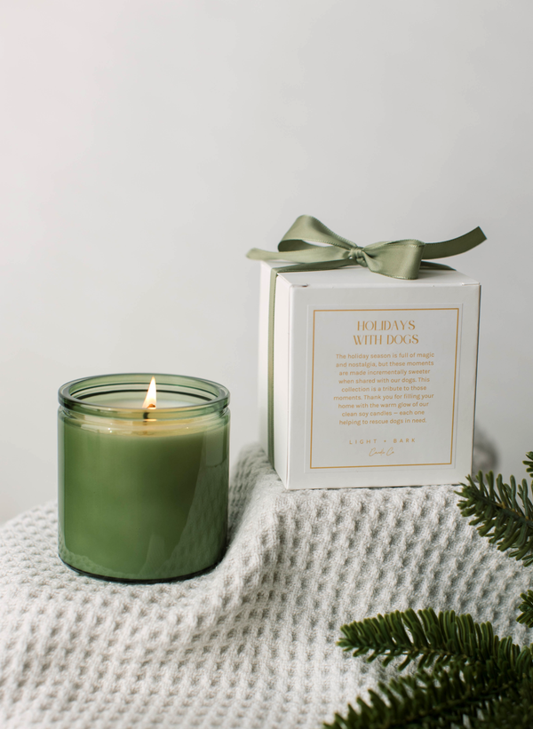 Cozy Season Scented Soy Candle