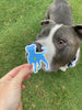 Glitter Pittie Vinyl Sticker