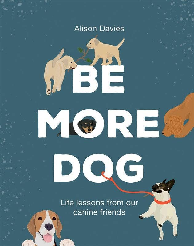 Be More Dog Book