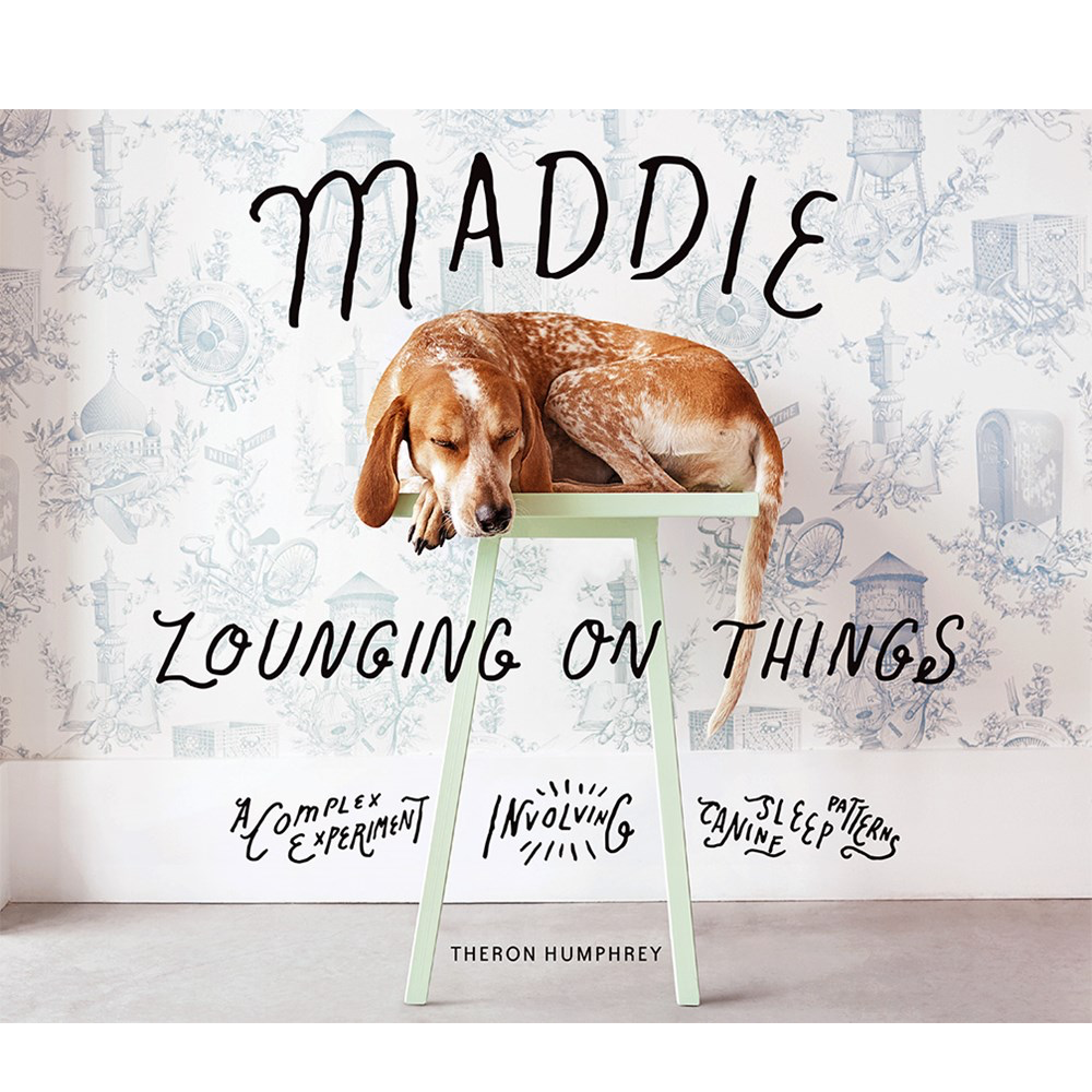 Maddie Lounging on Things Book